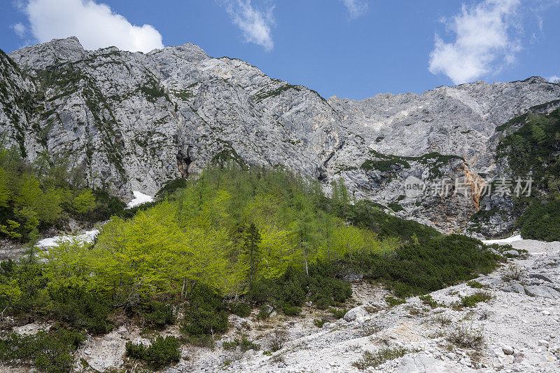 Zgornje Jezersko山谷在春天的景色